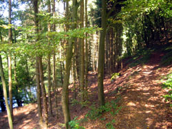 Rückweg